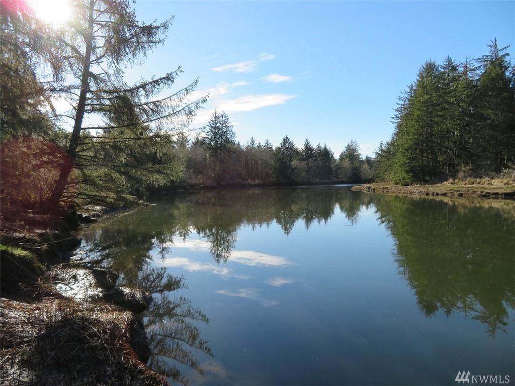 1387 Hoquiam Rd - Photo 1