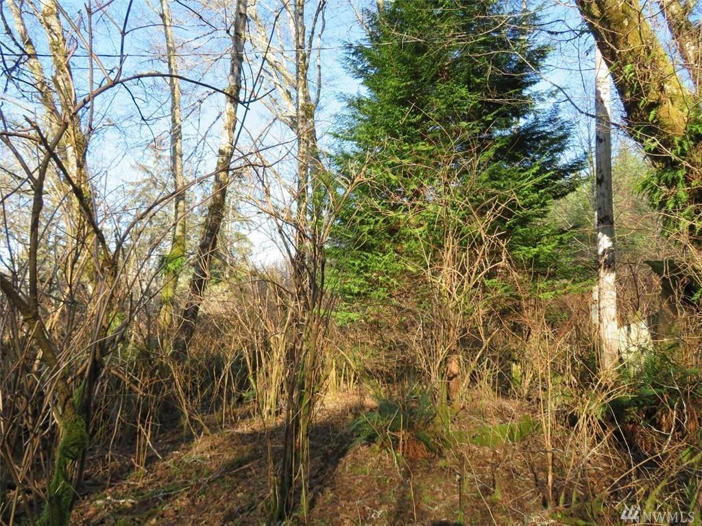 0-XXX Hoquiam Rd - Photo 1
