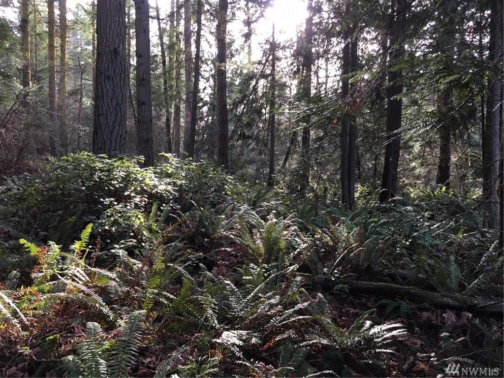 40001 Skunk Bay Rd - Photo 1