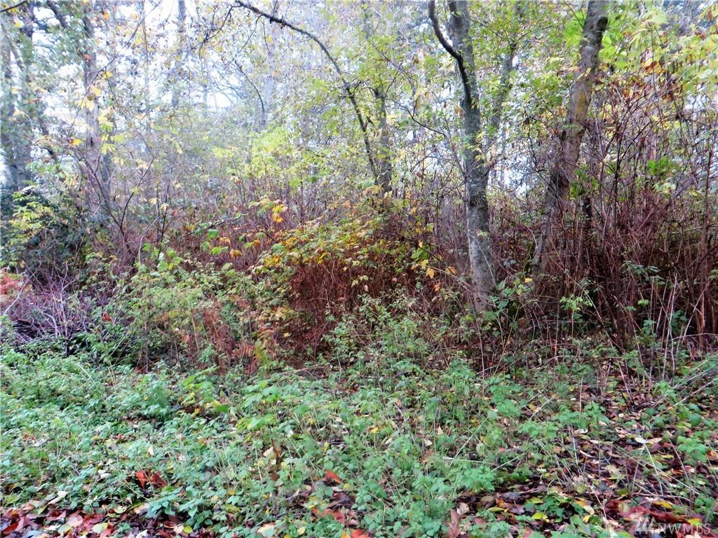 99 B Port Gardner - Photo 1
