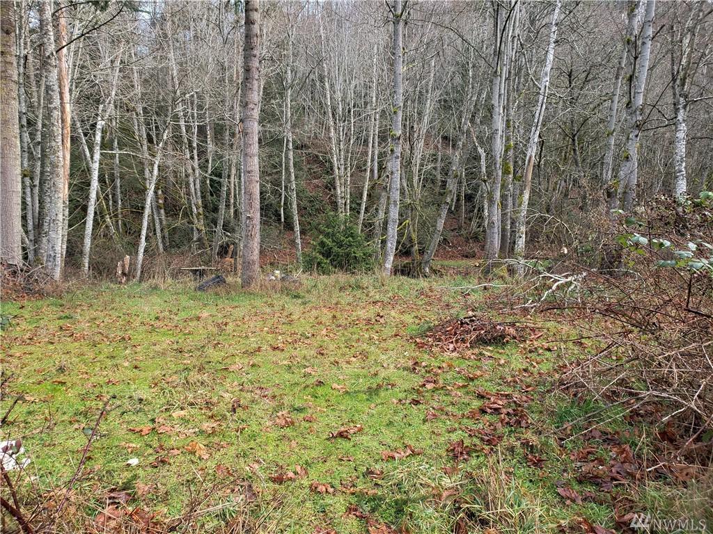 111 Alder Lane - Photo 1