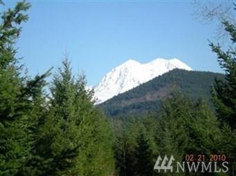 15411 Alder Mashel Rd - Photo 1