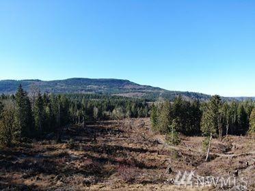 0 Cedar Pond Rd - Photo 1