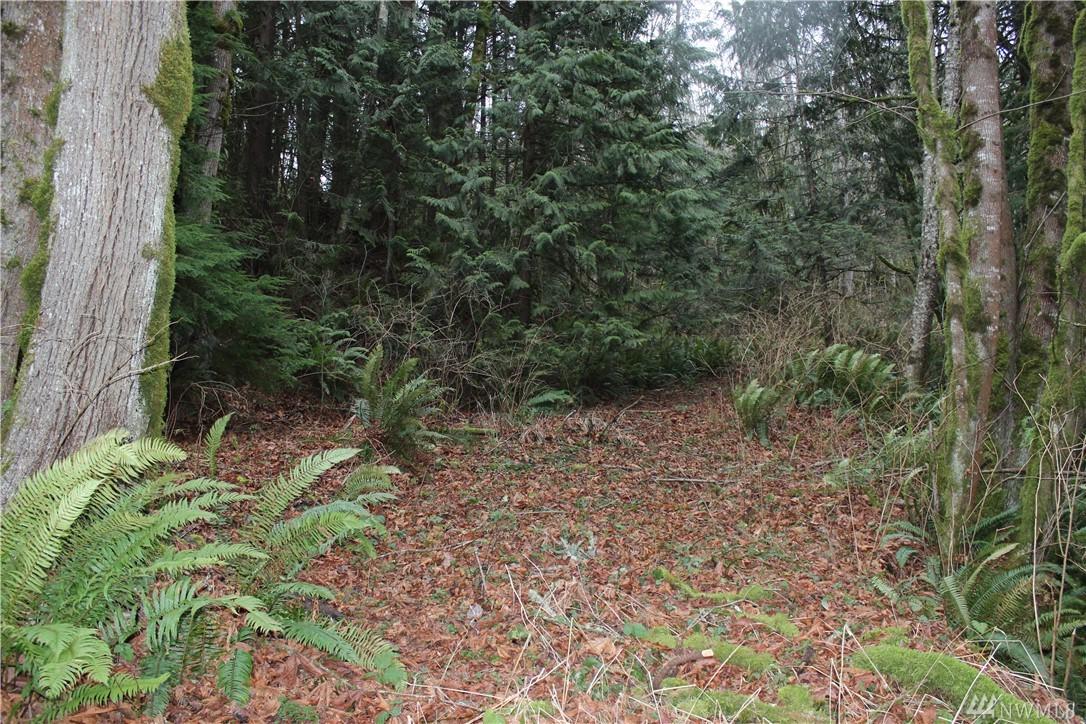 12520 Woods Creek Rd - Photo 1
