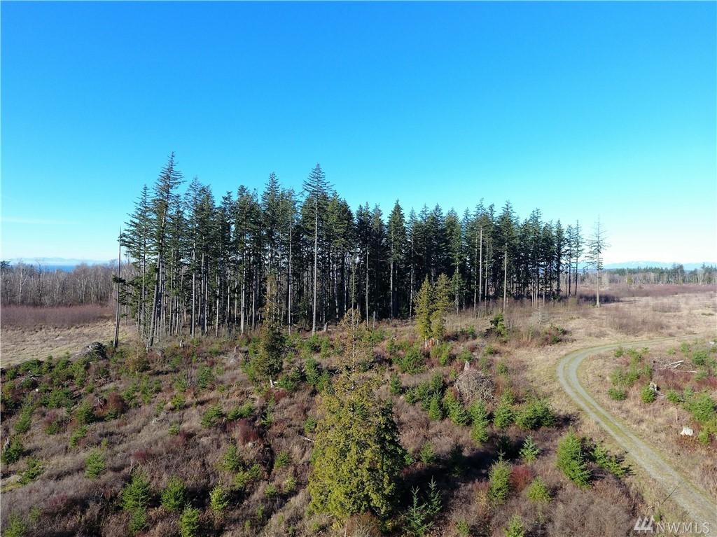 0 Semiahmoo Dr - Photo 1