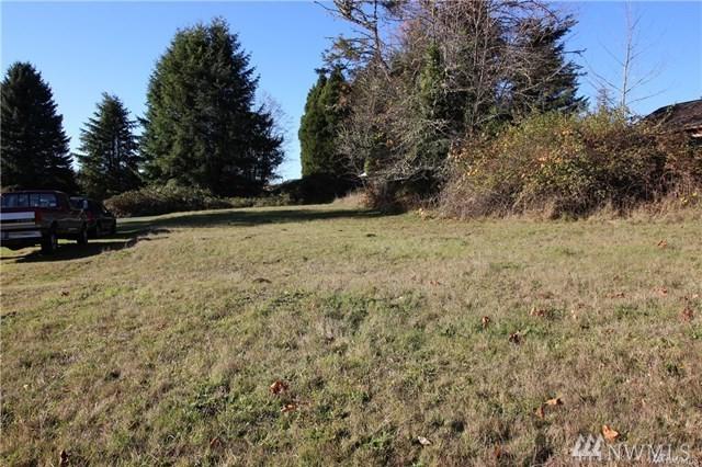 55020 305th Ave - Photo 1