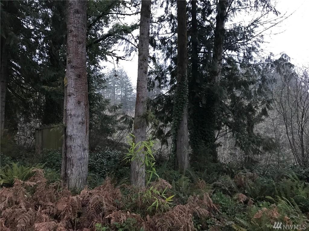 1915 Tower Rd - Photo 1