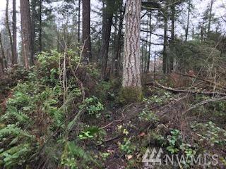 19700 122th Ave - Photo 1