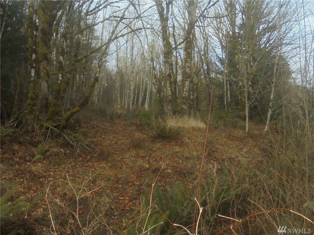0 Larch Rd - Photo 1