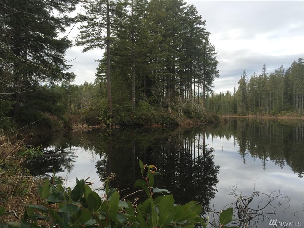 0 Lost Hwy - Photo 1