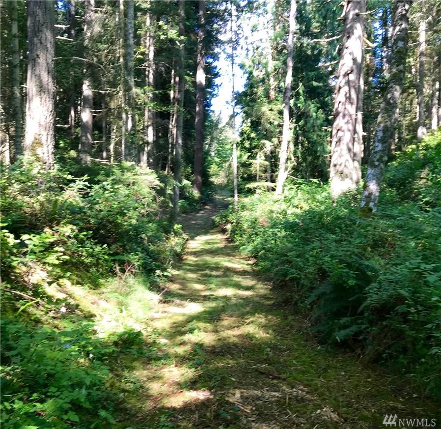 0-xxx Wintergreen Dr. (Lot B) - Photo 1