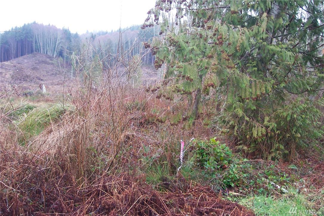 1-Lot Paradise Bay Rd. - Photo 1