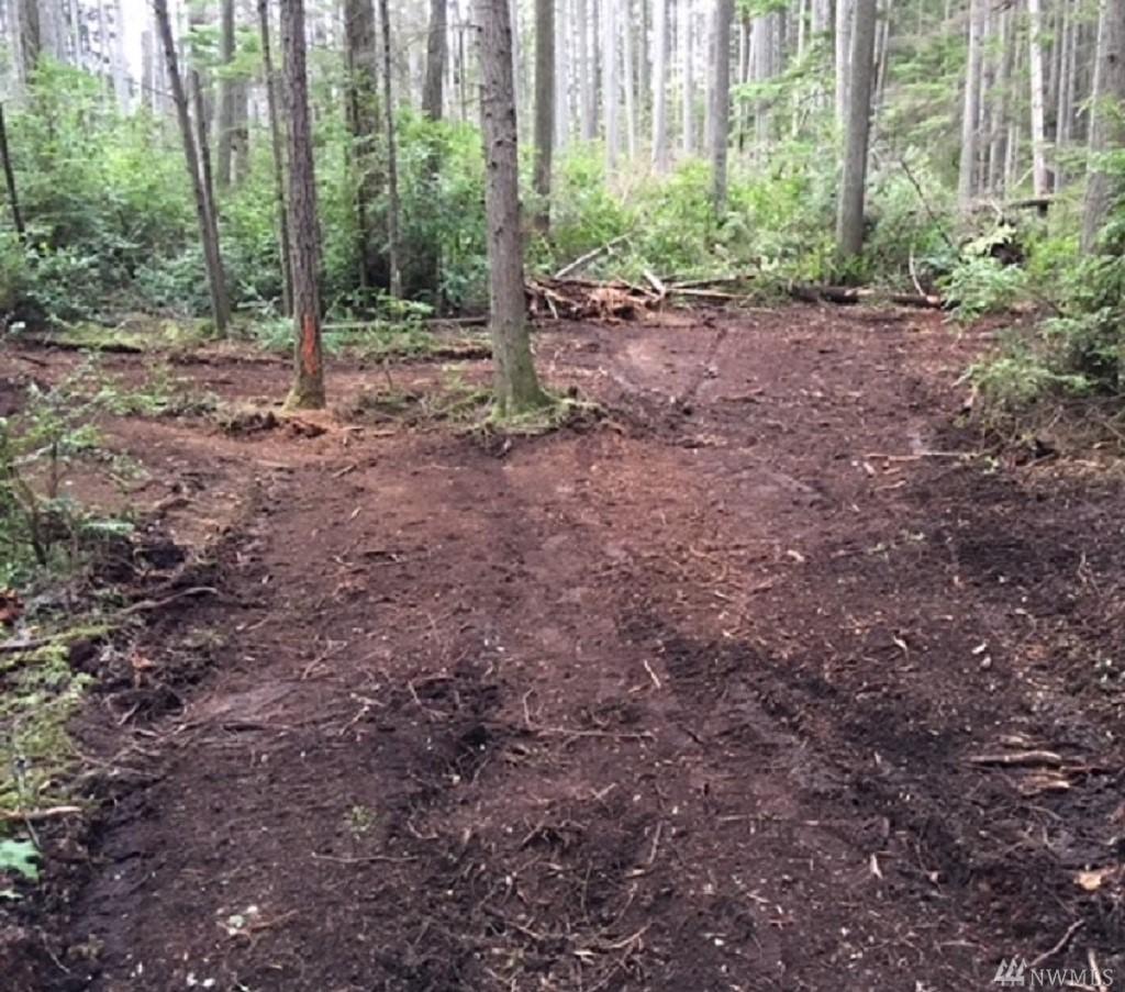 3975 Log Cabin Rd - Photo 1