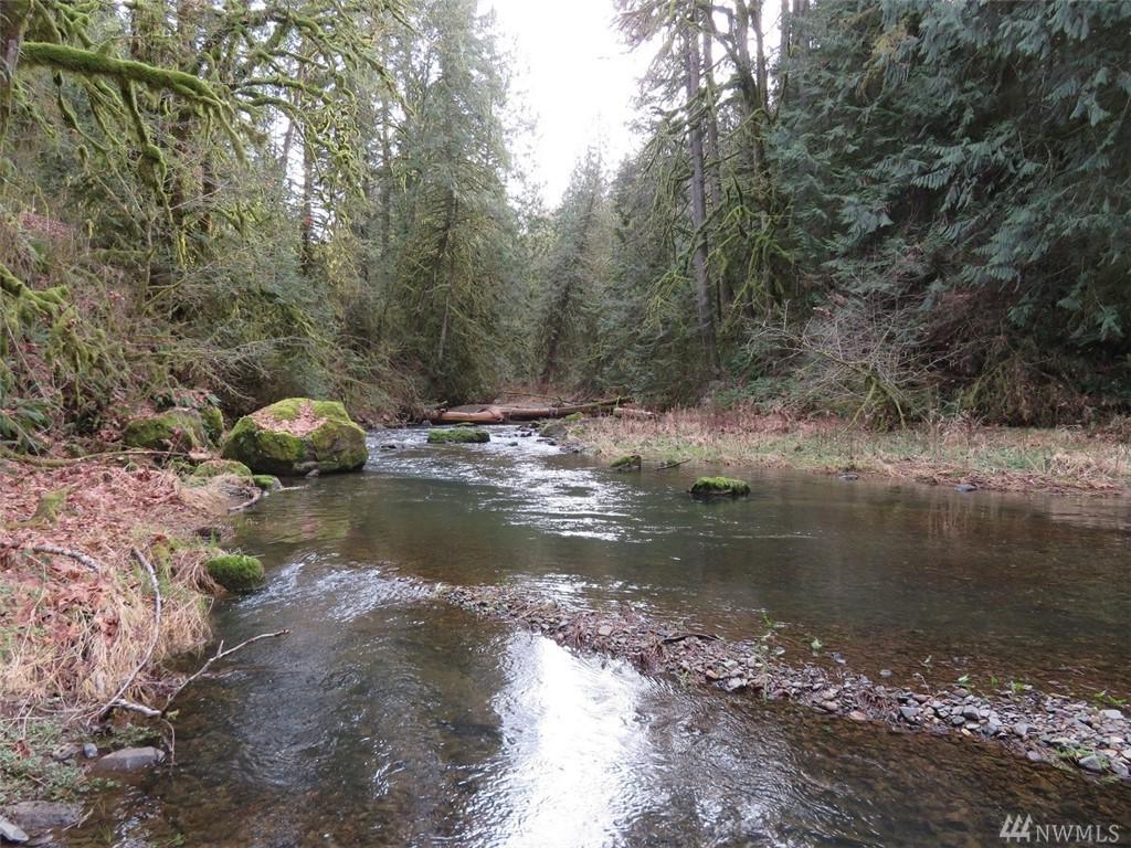 0-XXX Goble Creek Rd - Photo 1