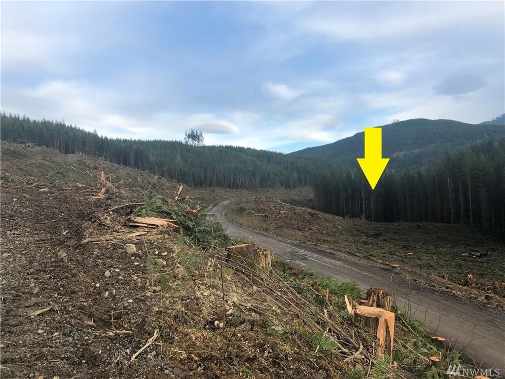 3-xx Scotty Road (Lot 3) - Photo 1