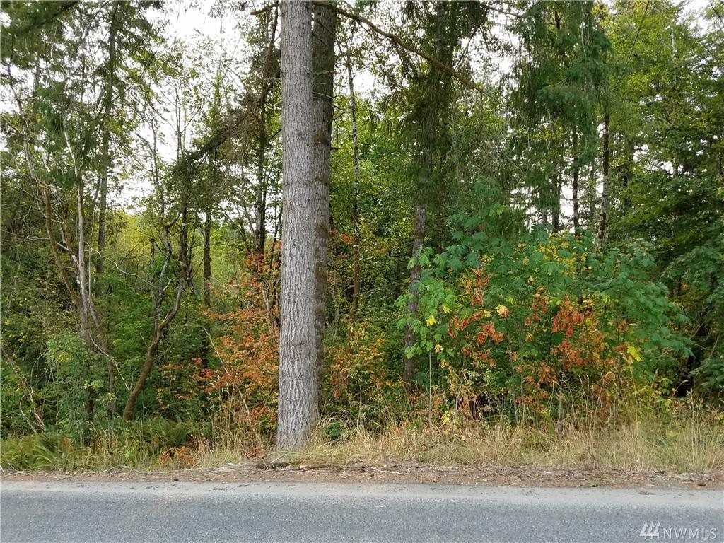 0 Raubuck Rd - Photo 1