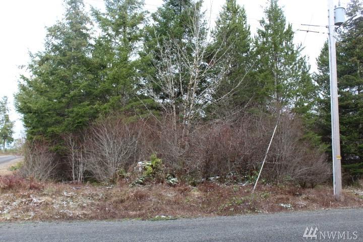 73 Lot On Fish Hatchery Rd - Photo 1