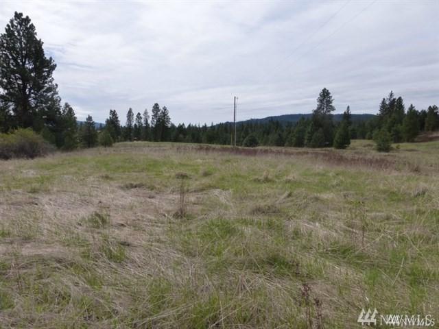 1234 Buck Ave - Photo 1