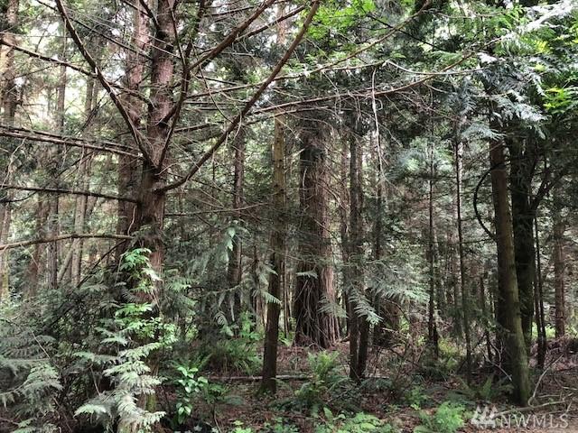 0-xxx Sandell Rd - Photo 1