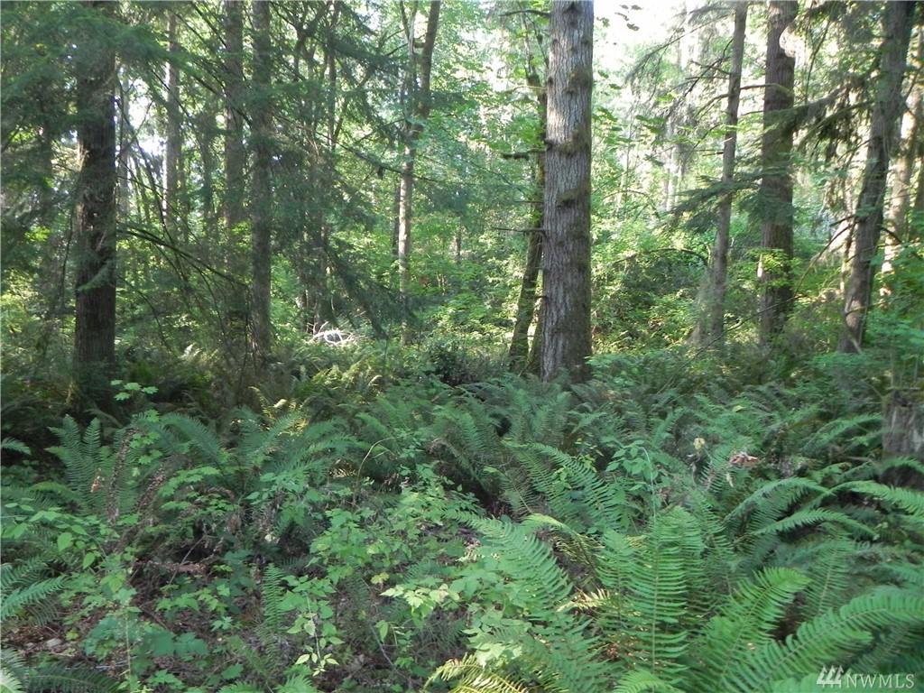 3024 Lk Langlios Rd - Photo 1