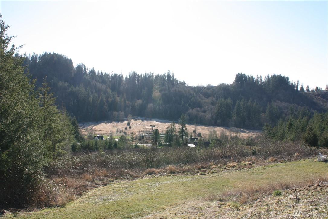 0-Lot 1 Myrtle View Lane - Photo 1