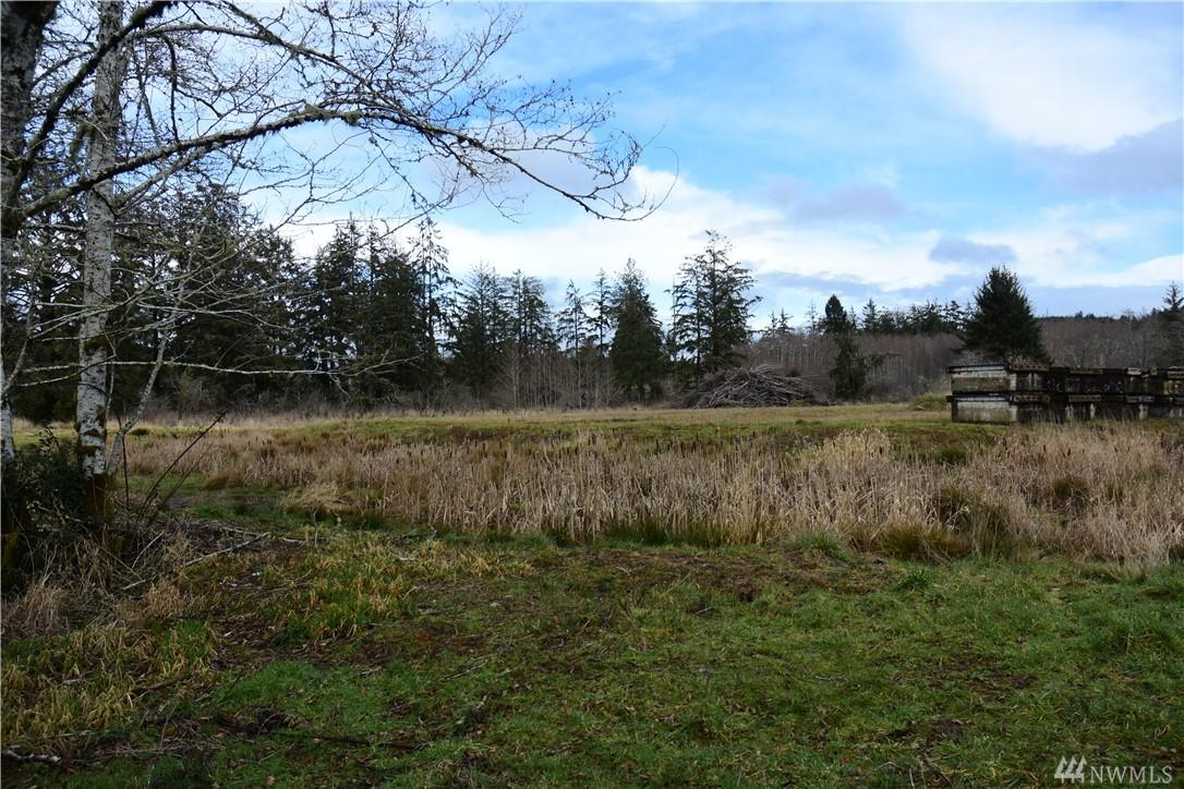 1707 Harrison - Photo 1