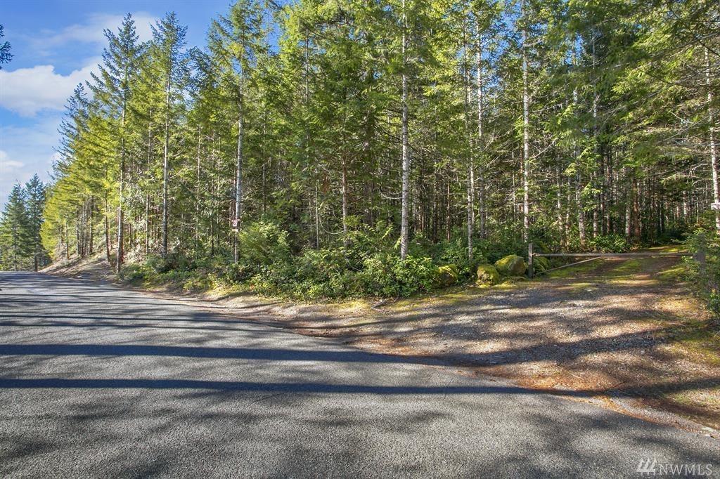 0-Lot 26 Dewatto Rd - Photo 1