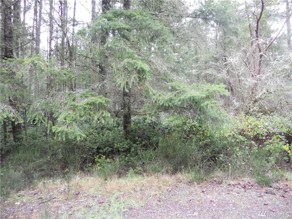 10611 Olympic Place - Photo 1