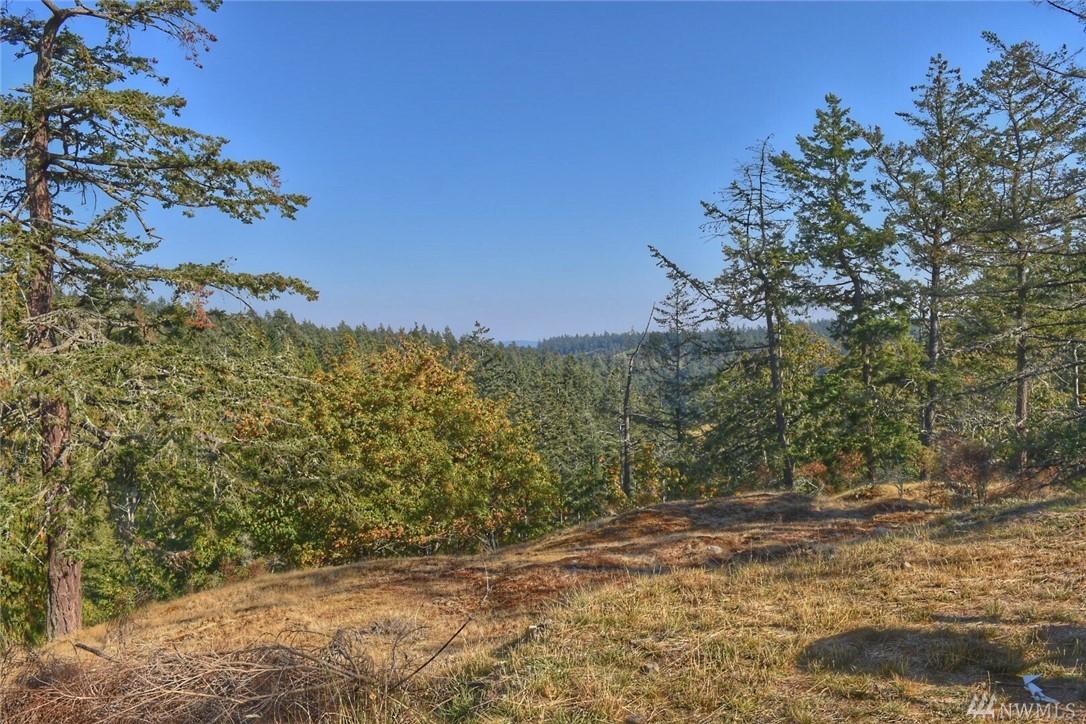 0-TBD Orcas Hill Rd - Photo 1