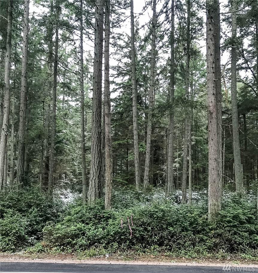264-xx Vashon Highway - Photo 1
