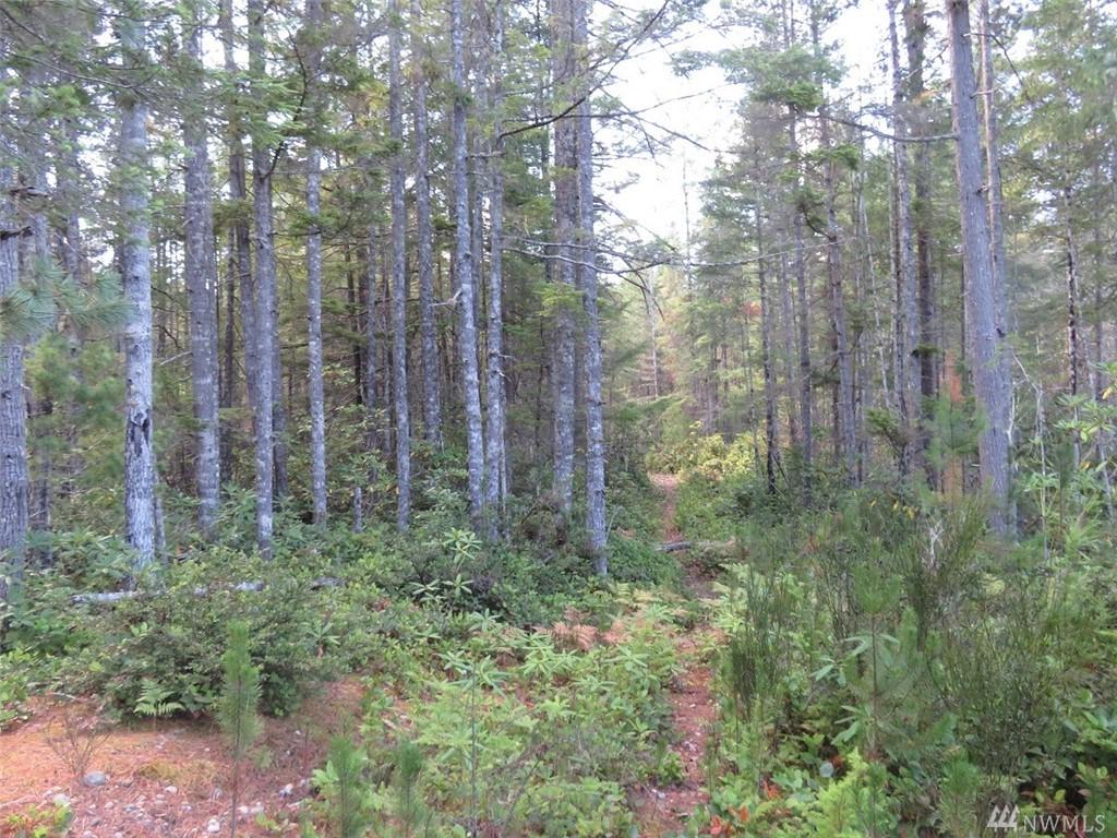 797 Blacksmith Dr - Photo 1