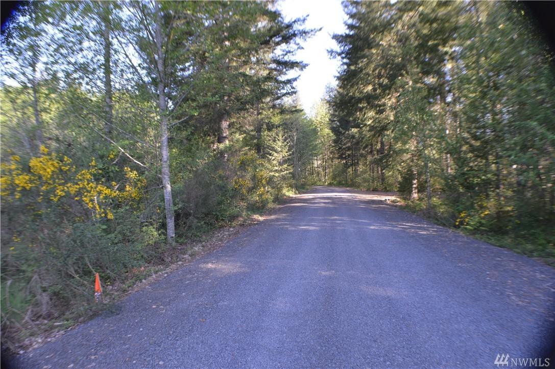 111-Lot C1 Obsidian Dr - Photo 1