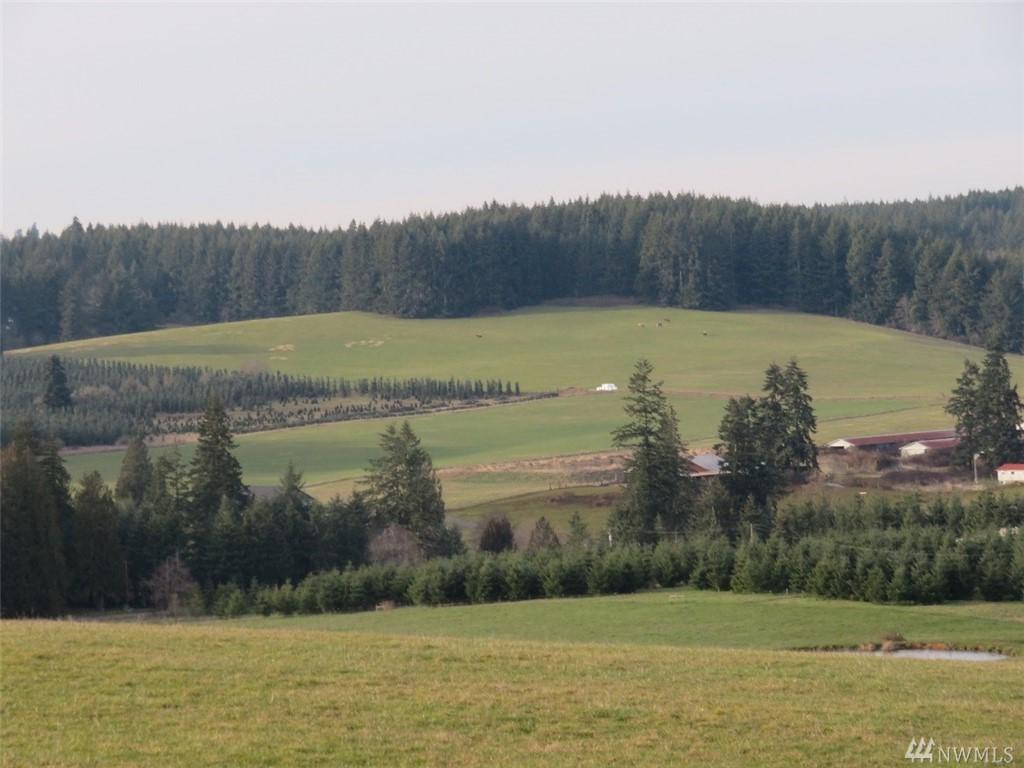0-A & B Mohoric Rd - Photo 1