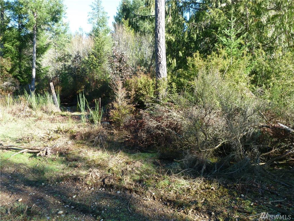 0-3 lots South Island Dr - Photo 1