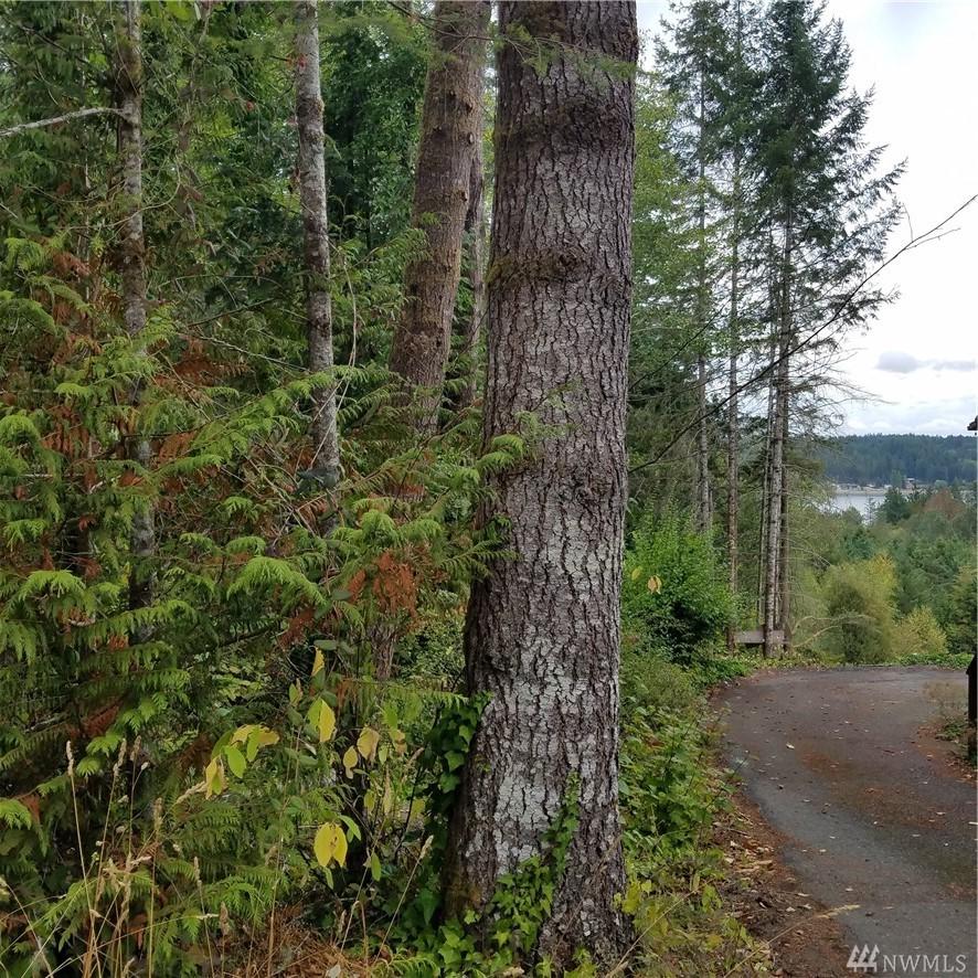 151 Mountain View Dr - Photo 1