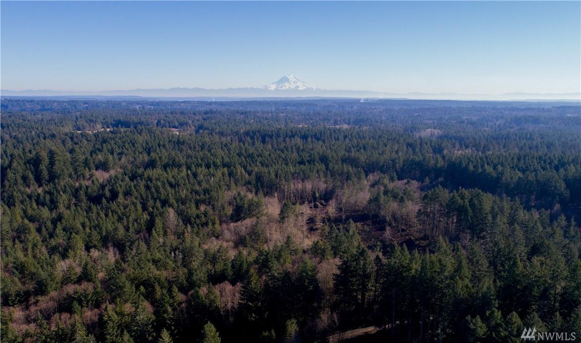 5678-Lots Zangle Rd - Photo 1