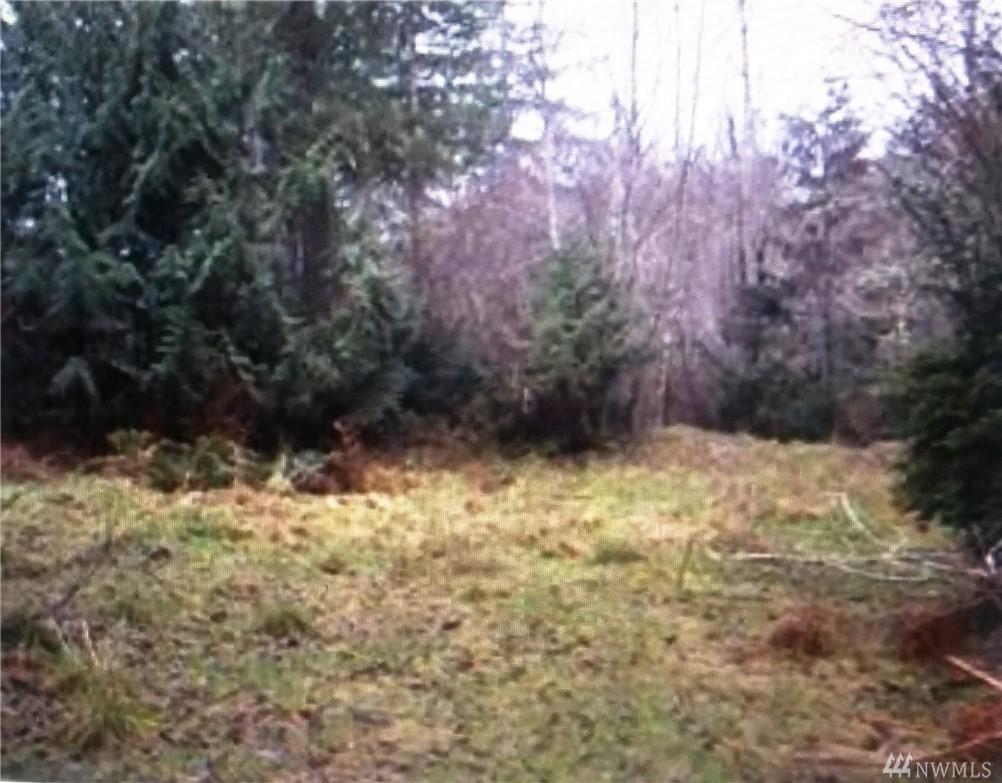391 Timberlake Dr - Photo 1
