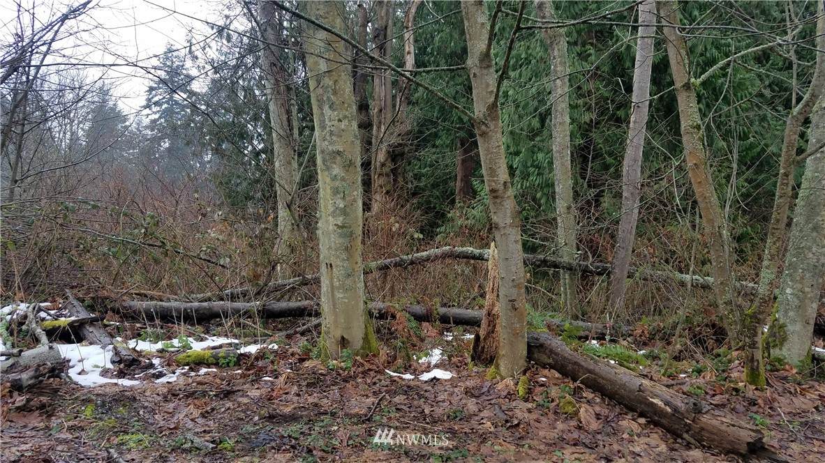57 A Saretoga Dr - Photo 1