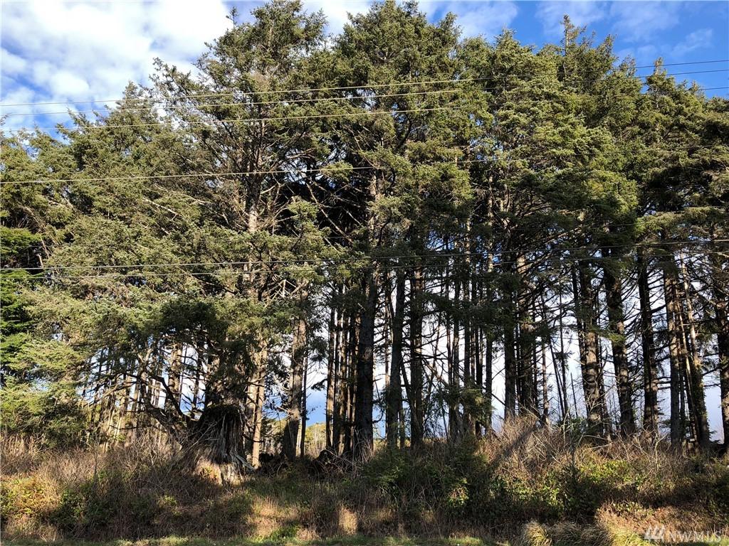4716 State Hwy 109 - Photo 1