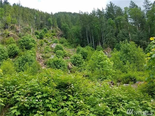 16327 Index Galena Rd - Photo 1