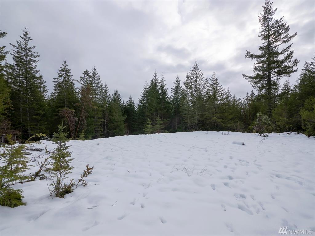 17 Ludvick Lake Lot 17 Dr - Photo 1