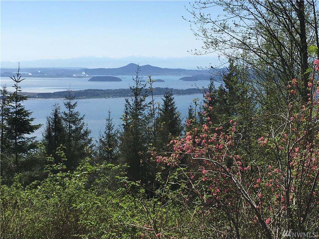 0 Chuckanut Ridge/Heavens Gate - Photo 1