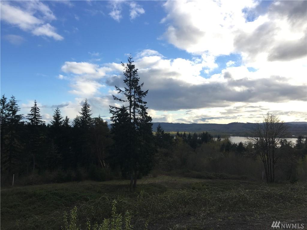 308 Dave's View Dr - Photo 1
