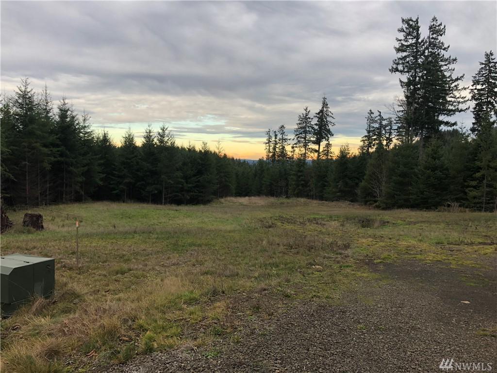 1130 Thimbleberry Dr - Photo 1