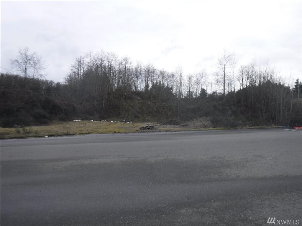 0 Hwy. 303 - Photo 1