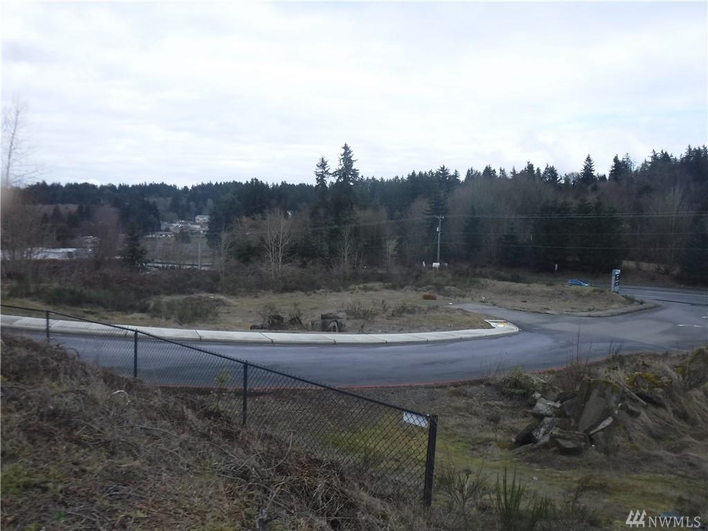 1 Hwy. 303 - Photo 1