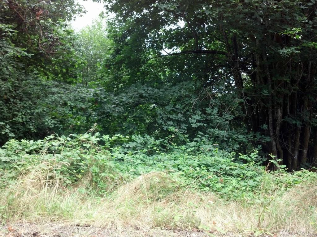 240 Panorama Dr - Photo 1