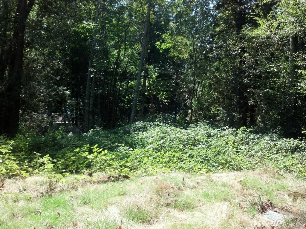 360 Panorama Dr - Photo 1
