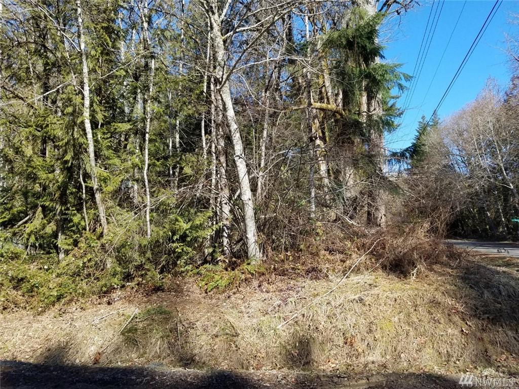 481 Panorama Dr - Photo 1