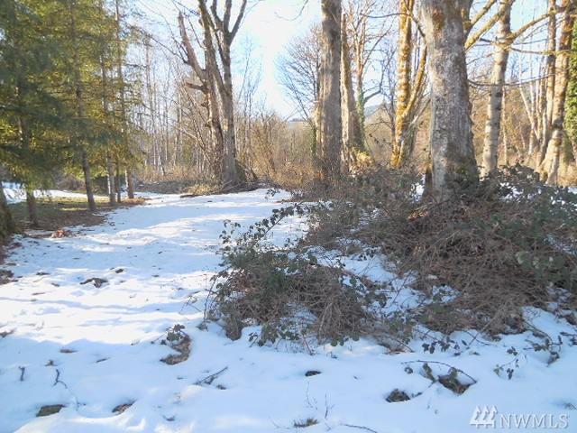 0 Maple St - Photo 1